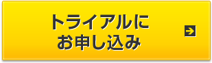 �g���C�A���ɂ��\������