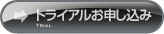 �g���C�A�����\������