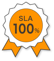 SLA100％保証